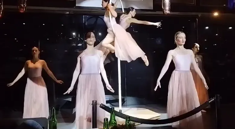 Dúo de Aro Aéreo y Danza — imagen 2