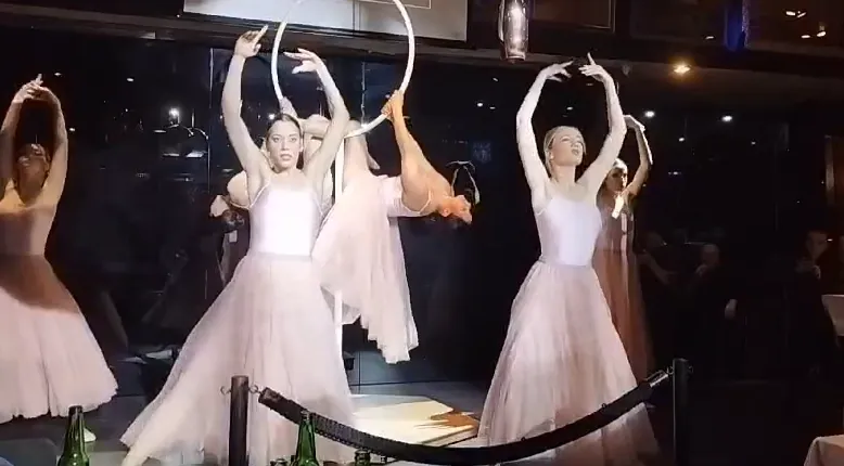 Dúo de Aro Aéreo y Danza — imagen 6