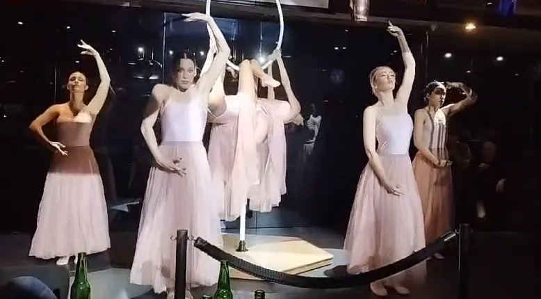 Dúo de Aro Aéreo y Danza — imagen 7