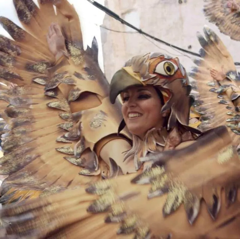 Halcoronsa Danza — imagen 2