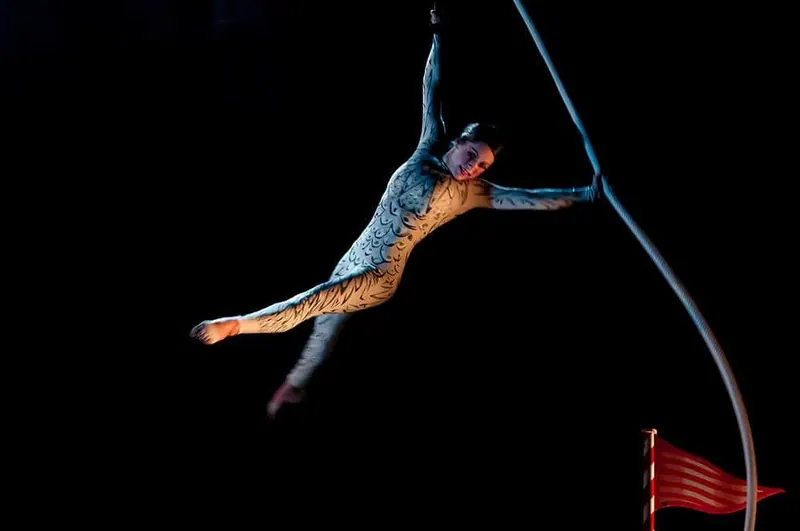 Icarus Flight — imagen 2