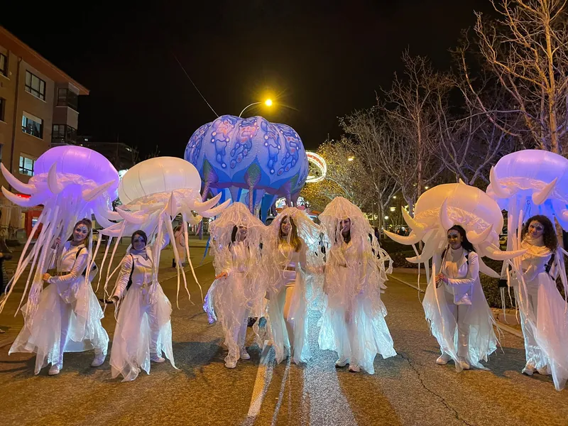 Medusas Luminosas — imagen 1