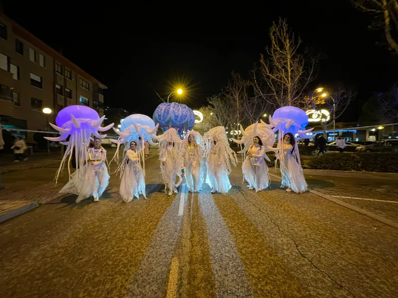 Medusas Luminosas — imagen 4