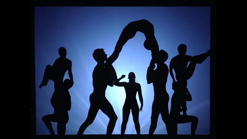 Shadow Show — imagen 4