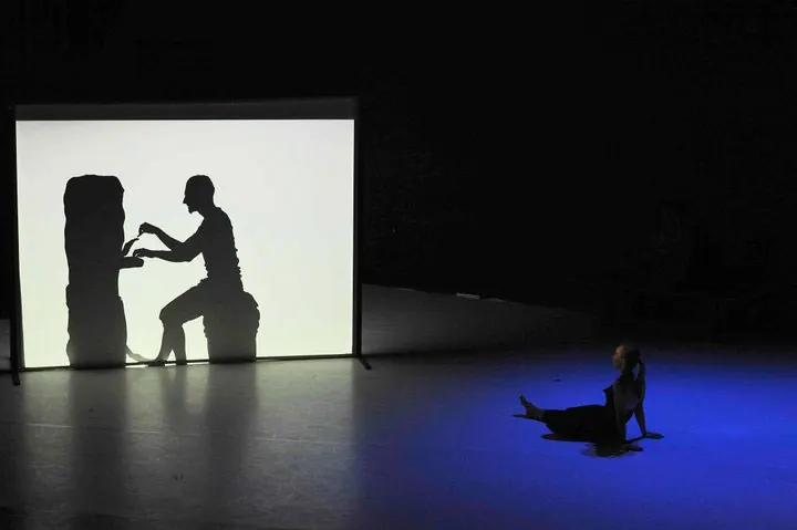 Shadow Show — show para eventos