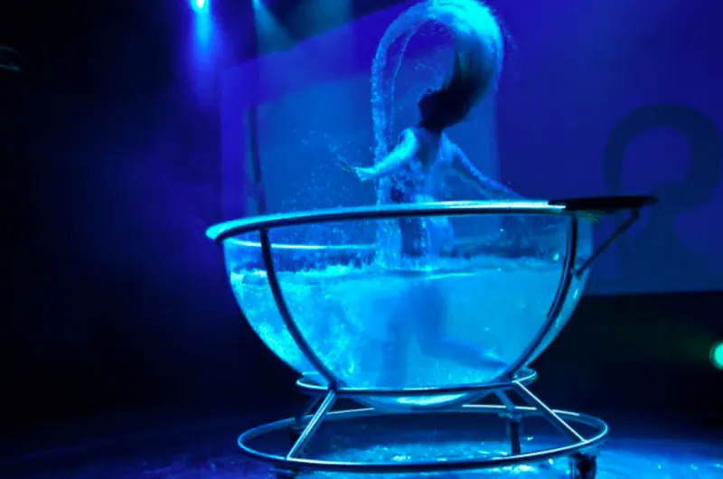 Water Bowl — imagen 1