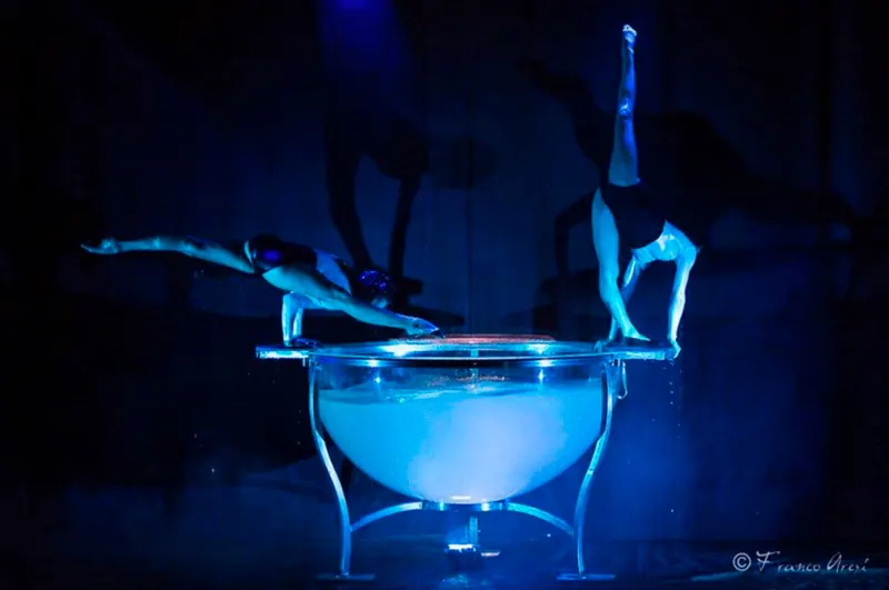 Water Bowl — imagen 6