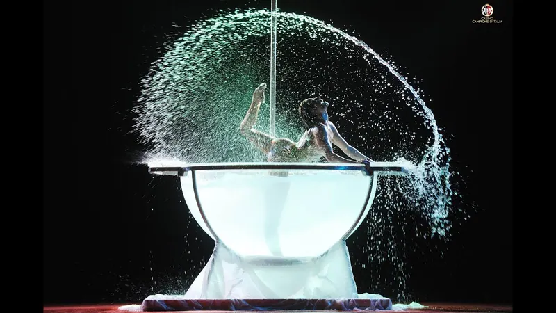 Water Bowl — show para eventos
